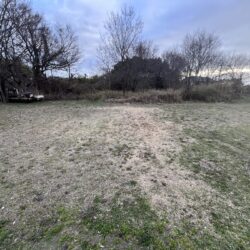 166坪♪2区画350坪♪外観